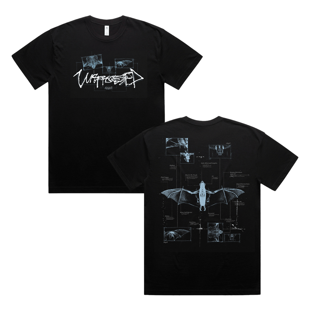 Angel Anatomy Tee - Black